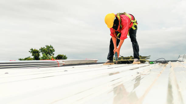 Best Roof Moss and Algae Removal  in Dupont, PA